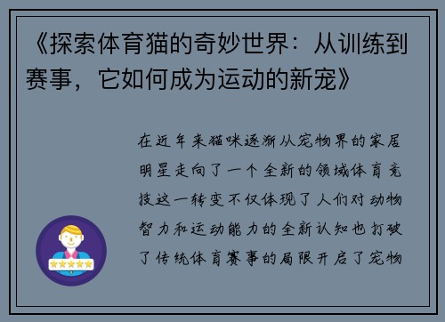 《探索体育猫的奇妙世界：从训练到赛事，它如何成为运动的新宠》